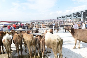 ŞAP HASTALIĞI NEDENİYLE KAPATILDI