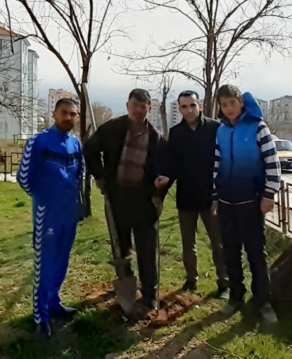 ARACINI ÇALANI FİDAN DİKTİREREK AFFETTİ