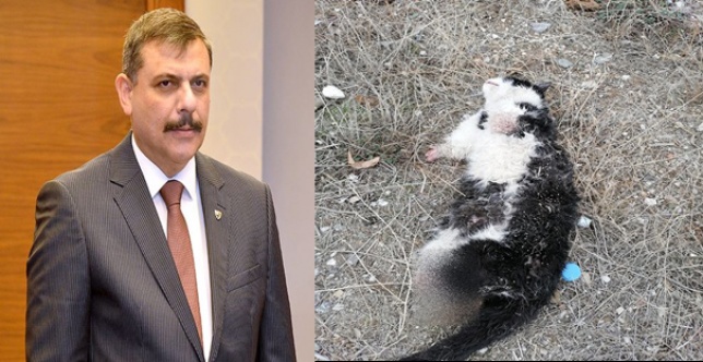 VALİ BEYİN AÇIKLAMASI İNANDIRICI BULUNMADI