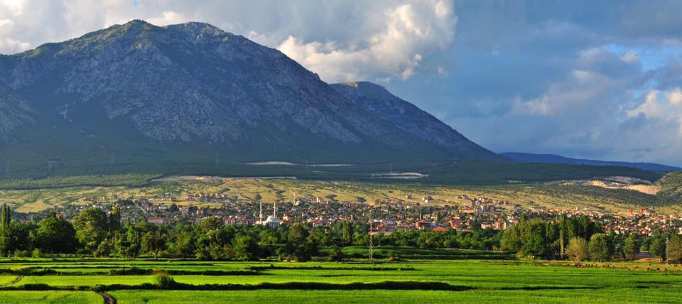 Kargı’da  mutasyona uğramış virüs tespit edildi