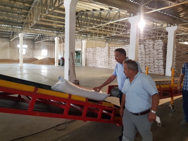 SERTİFİKALI TOHUM ÜRETİLDİ