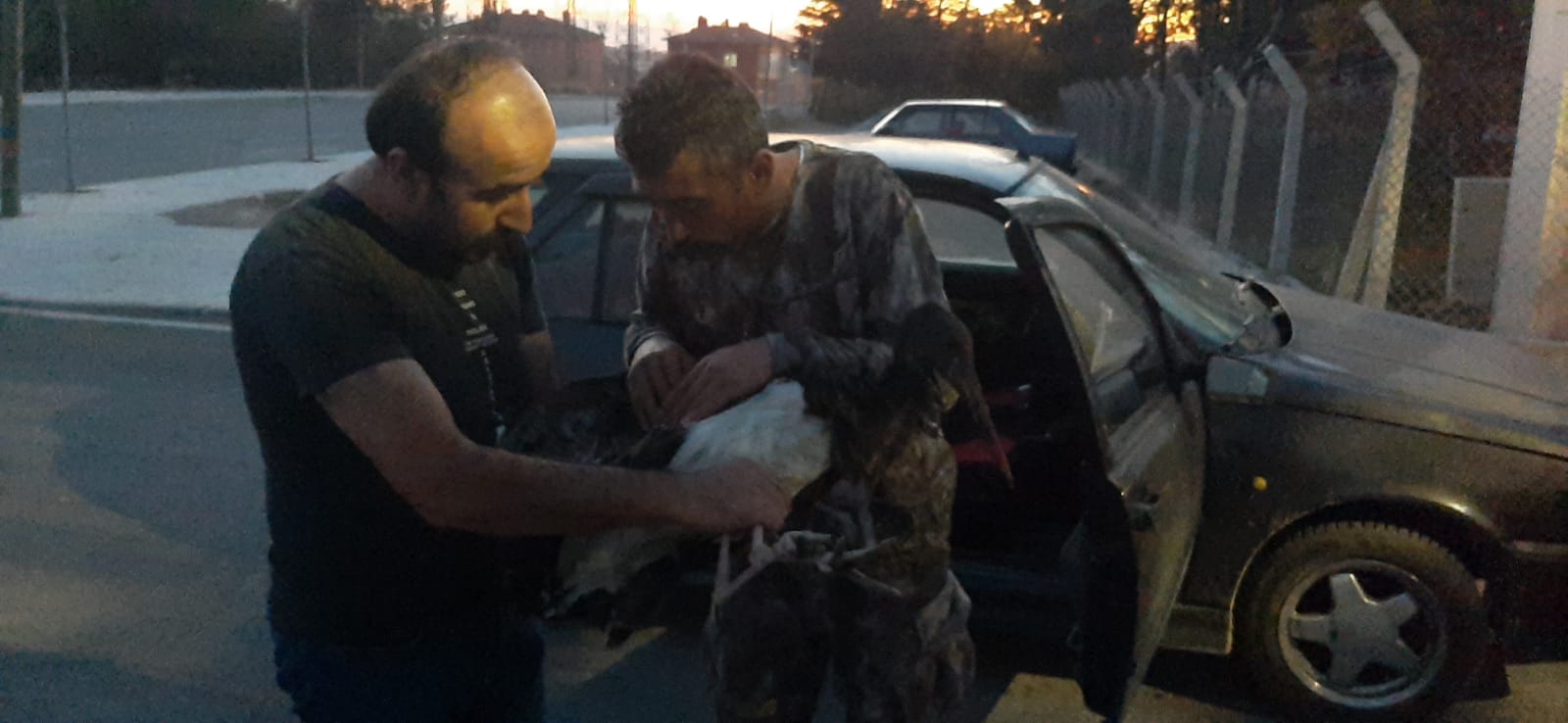 NESLİ TEHLİKEDE OLAN KARA LEYLEĞİ AVCILAR KURTARDI