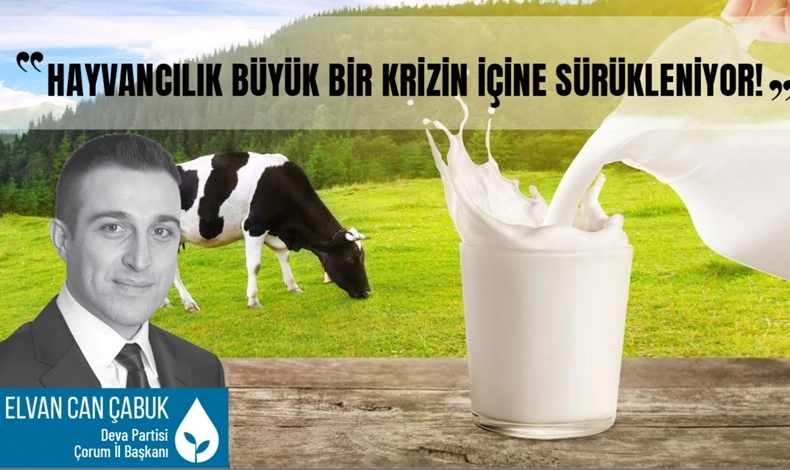 HAYVANCILIK BÜYÜK BİR KRİZİN İÇERİSİNE SÜRÜKLENİYOR